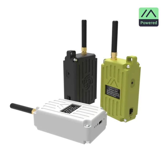 RAK WisMesh Pocket